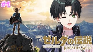 【ゼルダの伝説 ブレス オブ ザ ワイルド#1】今更完全初見プレイ！伝説の大地にいざ行かん！【無気ノ夢魔/あんぷろ】