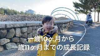 一歳10ヶ月から1歳11ヶ月までの成長記録