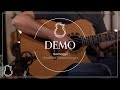 Somogyi Mod-D Cutaway, Brazilian Rosewood | Lance Allen