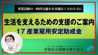 産業雇用安定助成金 について