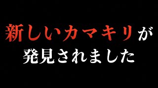 【マジです】沖縄で新亜種のカマキリが発見されていました