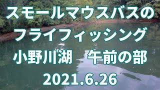 スモールマウスバスのフライフィッシング 　小野川湖　午前の部　 2021年6月26日