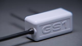 Introducing the GS1