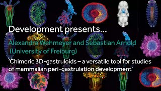 Development presents... Alexandra Wehmeyer and Sebastian Arnold