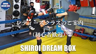 SHIROI DREAM BOX レディースクラス紹介