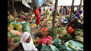 Qiimaha La iibiyo Qudaarta Suuqyada Baladweyne oo Sare u kacay