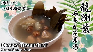 Dragon Tongue Leaf Cough Remedy Soup with Tuberous Sword Fern Apple Sweet \u0026 Bitter Apricot Kernel