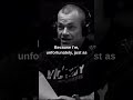 DISCIPLINE | NAVY SEAL COMMANDER: Jocko willink on Discipline.#ytshorts#shorts#discipline#motivation