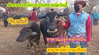 9ก.พ.68สำรวจราคาโคกระบือตลาดนัดบ้านเทื่อมวันนี้มีควายแม่ลูกสวย