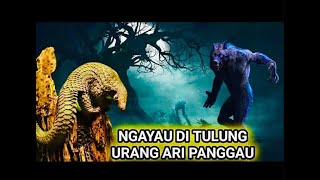 Anak Raja Bunsu Tengiling 9