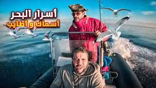 الصيد في الاعماق🎣 🛥️ مغامرة ومتعة😱🐟وجبةالسمك المخلل🐠🫖