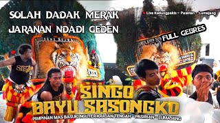 Terbaru ❗Solah dadak merak dan jaranan ndadi full gebres REOG SINGO BAYU SASONGKO LIVE KEDUNG PAKIS