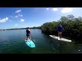 paddleboarding sup in the mangroves florida keys