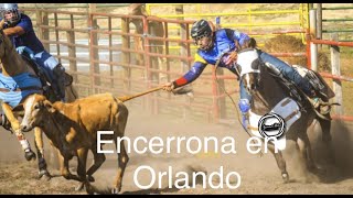 🔥Encerrona de Toros Coleados en Orlando Florida, entrevistas, informacion, futuros eventos. 🐴🐮