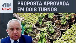 Senador Izalci Lucas analisa PEC das Drogas: “Atendemos ao pedido da população”