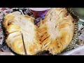 开吃菠萝蜜（大树菠萝）eat jackfruit jackfruit 菠萝蜜