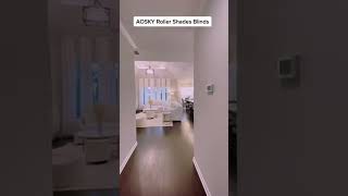 AOSKY Roller Window Shades for Home