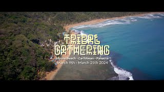 Tribal Gathering 2024 Aftermovie