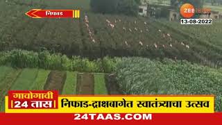 Niphad Tiranga | द्राक्षबागावर 75 आकड्याची प्रतिकृती, निफाडच्या शेतकऱ्याची कलाकृती