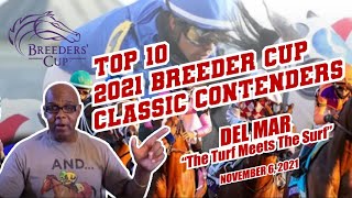 SpeedKing's! Breeder Cup Classic "TOP 10 CONTENDERS" @Del Mar On Saturday November 6, 2021.