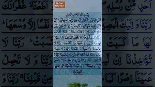 last 2 ayat of Surah Al-Baqarah #religion #islamicvideo #quran #albaqarah