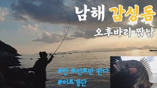 [신컨TV]남해 감성돔낚시 오후바리 짬낚!