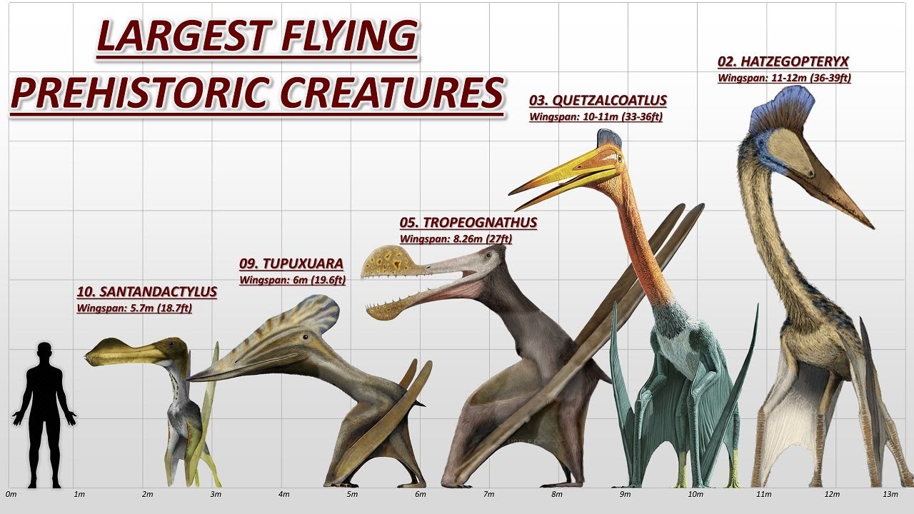 Prehistoric Flying Reptiles