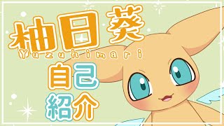 【自己紹介】はじめまして、柚日葵です【新人Vtuber】