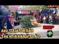 Tari reog ponorogo (pembarong singo menggolo balikpapan)