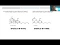 “The current State of Cannabis, an Evidence Based Approach” - Michael Baron, MD - 02/03/2023