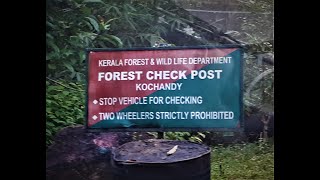 Travel through wild Kerala - Ranni Forest Division