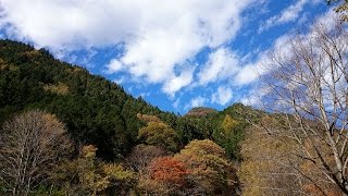 奥秩父紅葉ドライブ2014（中津峡～ふれあいの森）