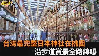 一秒出國！台灣最完整日本神社在桃園　沿環山森林步道俯瞰美景全路線曝光－全民話燒