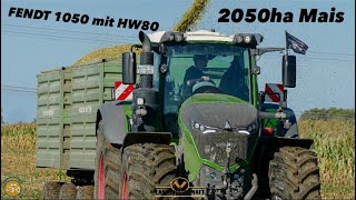 2050ha Mais \u0026 Fendt 1050 mit HW80 beim Mais Transport LU Grünhagen im Lohnauftrag bei der Maisernte