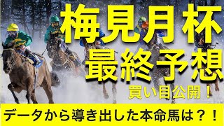 【梅見月杯2022予想】最終予想！買い目公開！本命馬公開！　＃地方競馬＃名古屋競馬