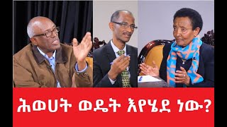 ከቀድሞ የህወሃት መስራቾች ጋር የተደረገ ቃለመጠይቅ ክፍል 2 - Netsa Weyeyet