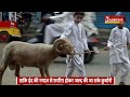 सोशल मीडिया पर क़ुर्बानी के जानवरों के फ़ोटो वीडियो नहीं करें पोस्ट dargah ala hazrat eid namaz