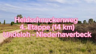 Heidschnuckenweg 4. Etappe (14 km) Undeloh - Niederhaverbeck