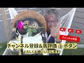 【バラの育て方】冬のバラ管理のコツ♪救います！地植えバラのお引越し？！移植編（2022年12月23日）