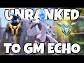 Educational Unranked To GM ECHO | Overwatch 2