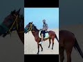 desert safari dubai horse riding minhas sheikh uae 🇦🇪