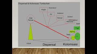 Biogeografi Pola Distribusi Tumbuhan