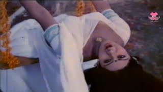 Sirimalle Puvva Superhit Video Song || Padaharella Vayasu Telugu Movie Songs || Sridevi