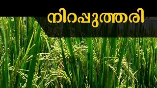 നിറപ്പുത്തരി | Nira Puttari