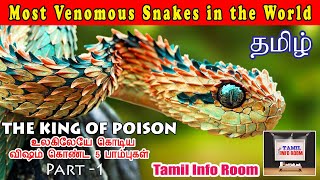 THE KING OF POISON  Part-1 Most Venomous Snakes |உலகிலேயே கொடிய விஷம் கொண்ட பயங்கரமான 5 பாம்புகள் |