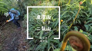 【直潭山】新北市烏來區 直潭山+二龍山O型路線 | 探訪歷史遺跡 | 隘寮線遺址 | 二龍山 | 烏來好吃到不想公布的麵包店 | 烏來溫泉老街情人溫泉泡湯