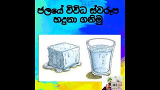 ජලයේ විවිධ ස්වරූප - Different Forms of Water