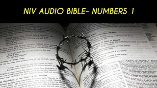 NUMBERS 1 NIV AUDIO BIBLE (with text)