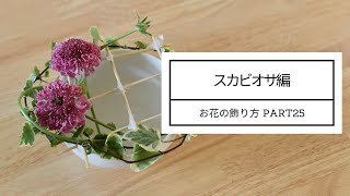 お花の飾り方part 25＊スカビオサ編