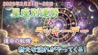 星が導く未来✨ 2025年2月21日から２８日の星座別運勢＆ラッキーデー🌟